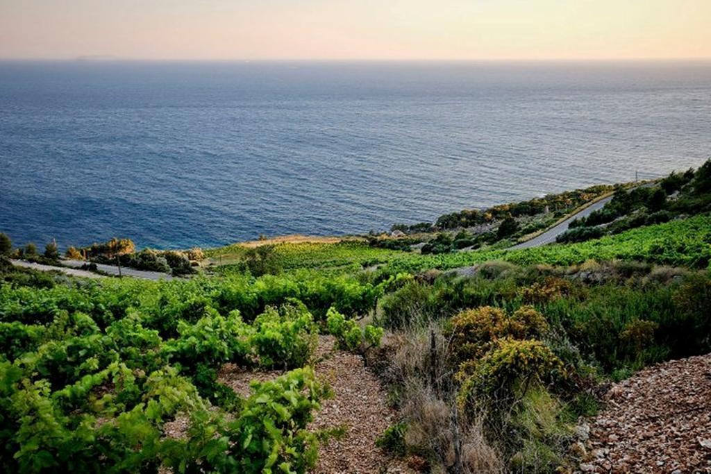 Getaway Caric Feriehus